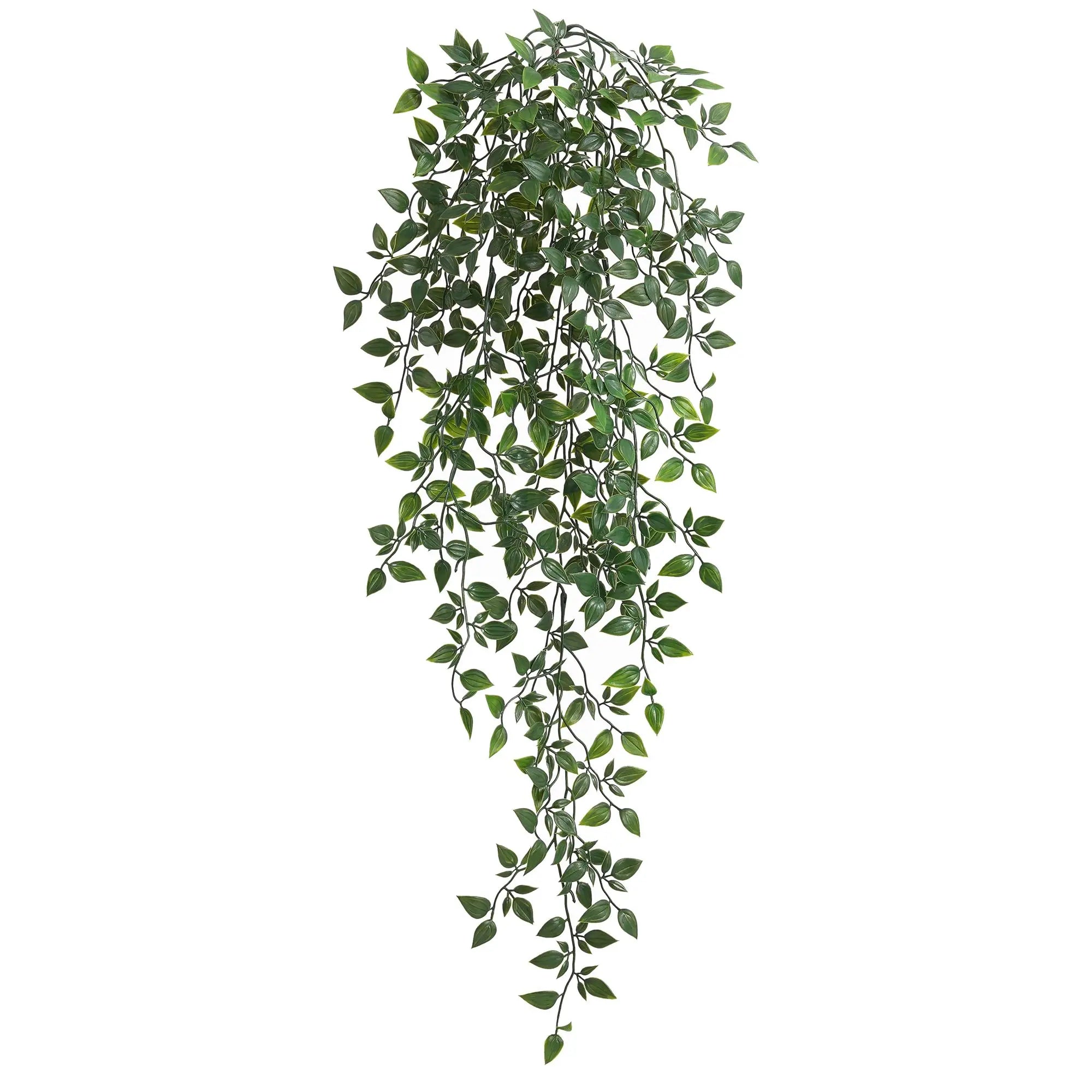 Hanging Ivy Vines