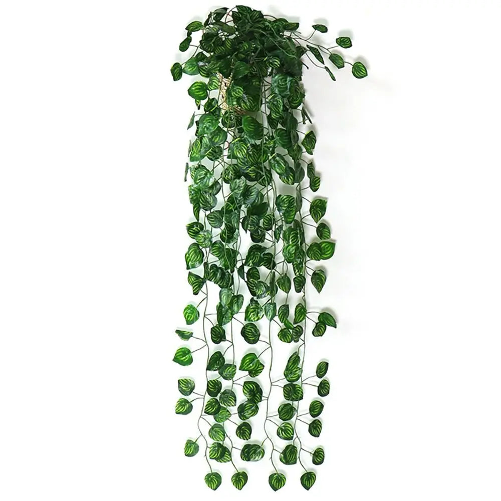 Hanging Ivy Vines