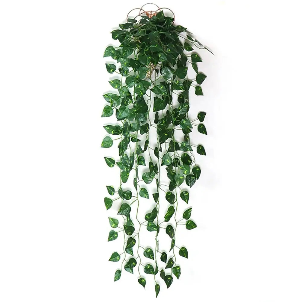 Hanging Ivy Vines