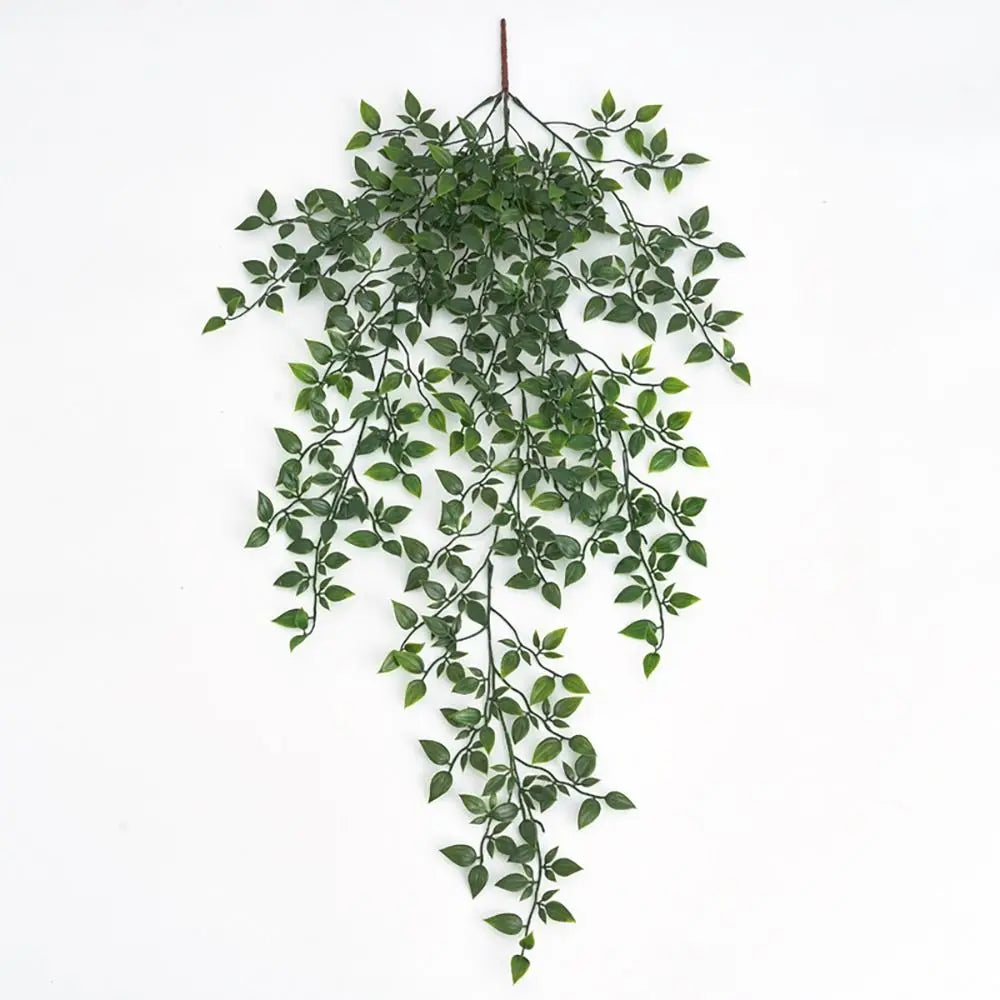 Hanging Ivy Vines