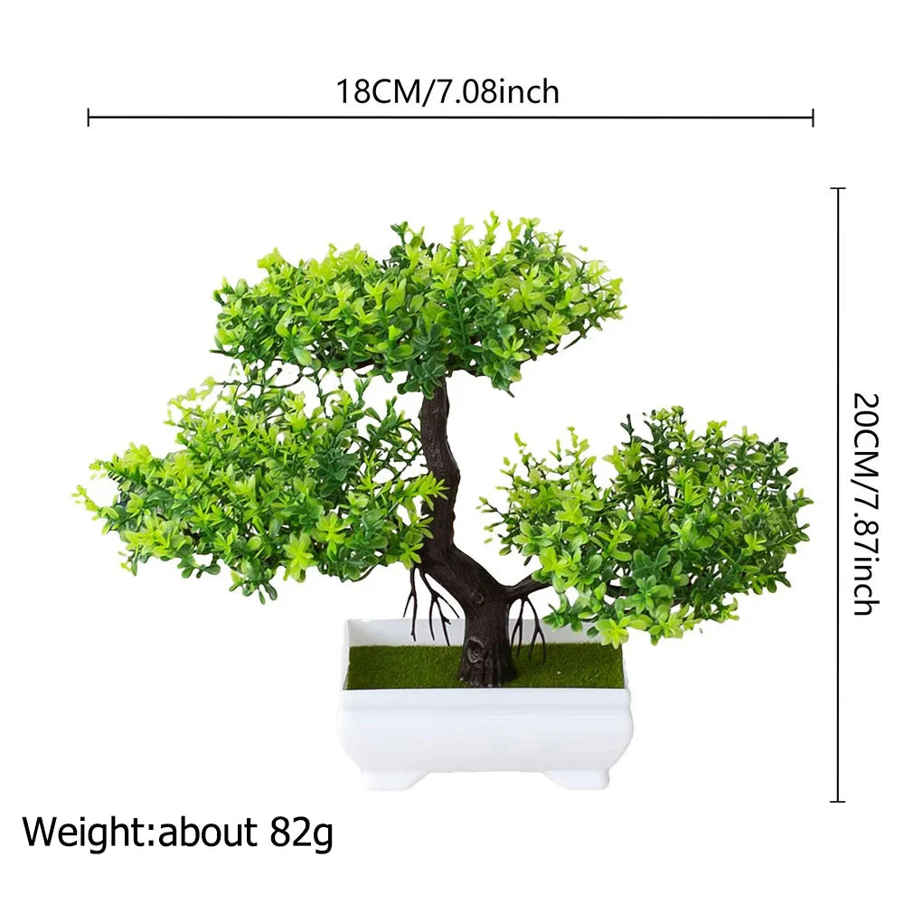 Mini Bonsai Tree Pot