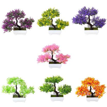 Mini Bonsai Tree Pot