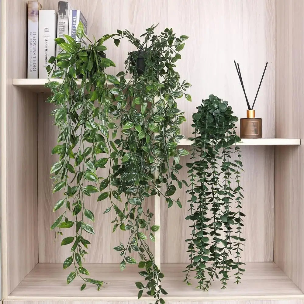 Hanging Ivy Vines