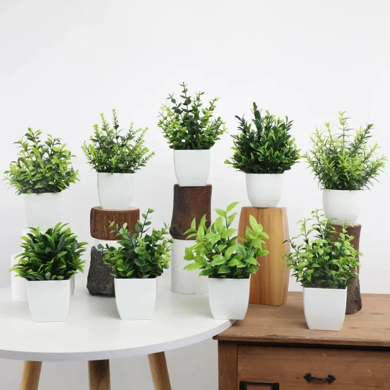 Mini Potted Plant