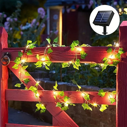 Solar Ivy Fairy Lights (7M)