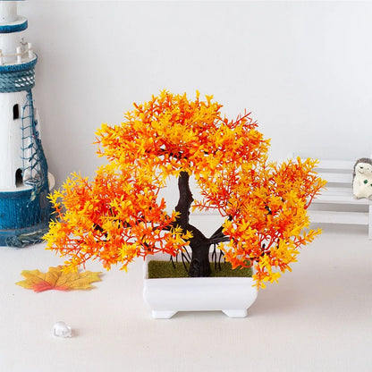 Mini Bonsai Tree Pot