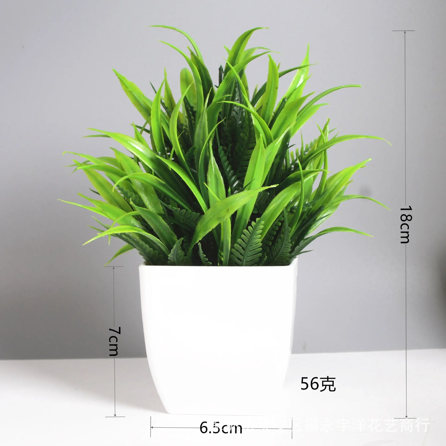 Mini Potted Plant