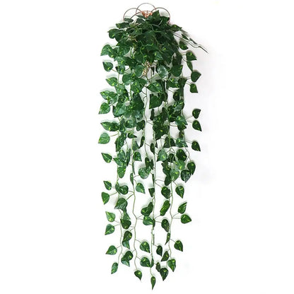 Hanging Ivy Vines
