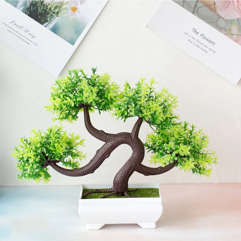 Mini Bonsai Tree Pot