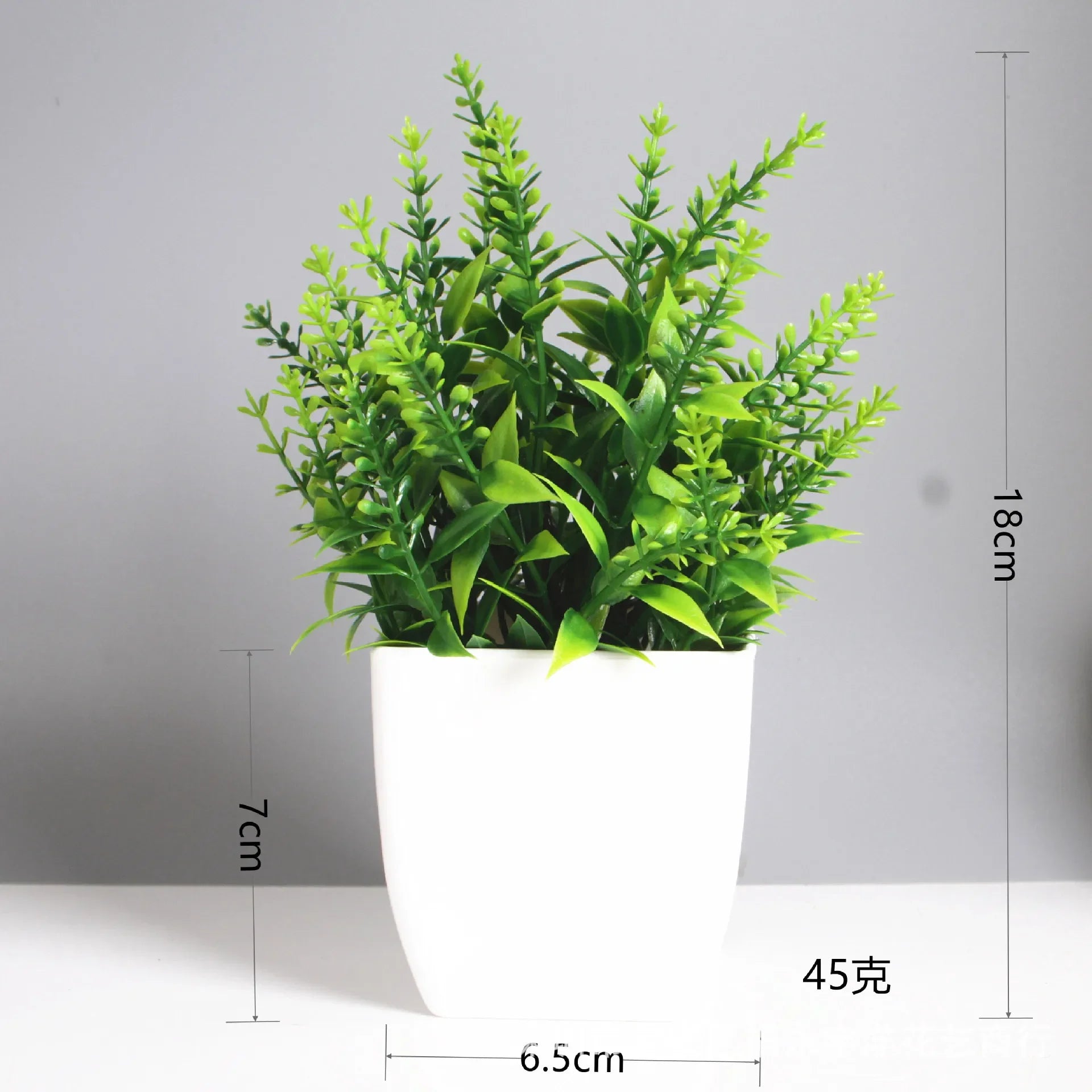 Mini Potted Plant
