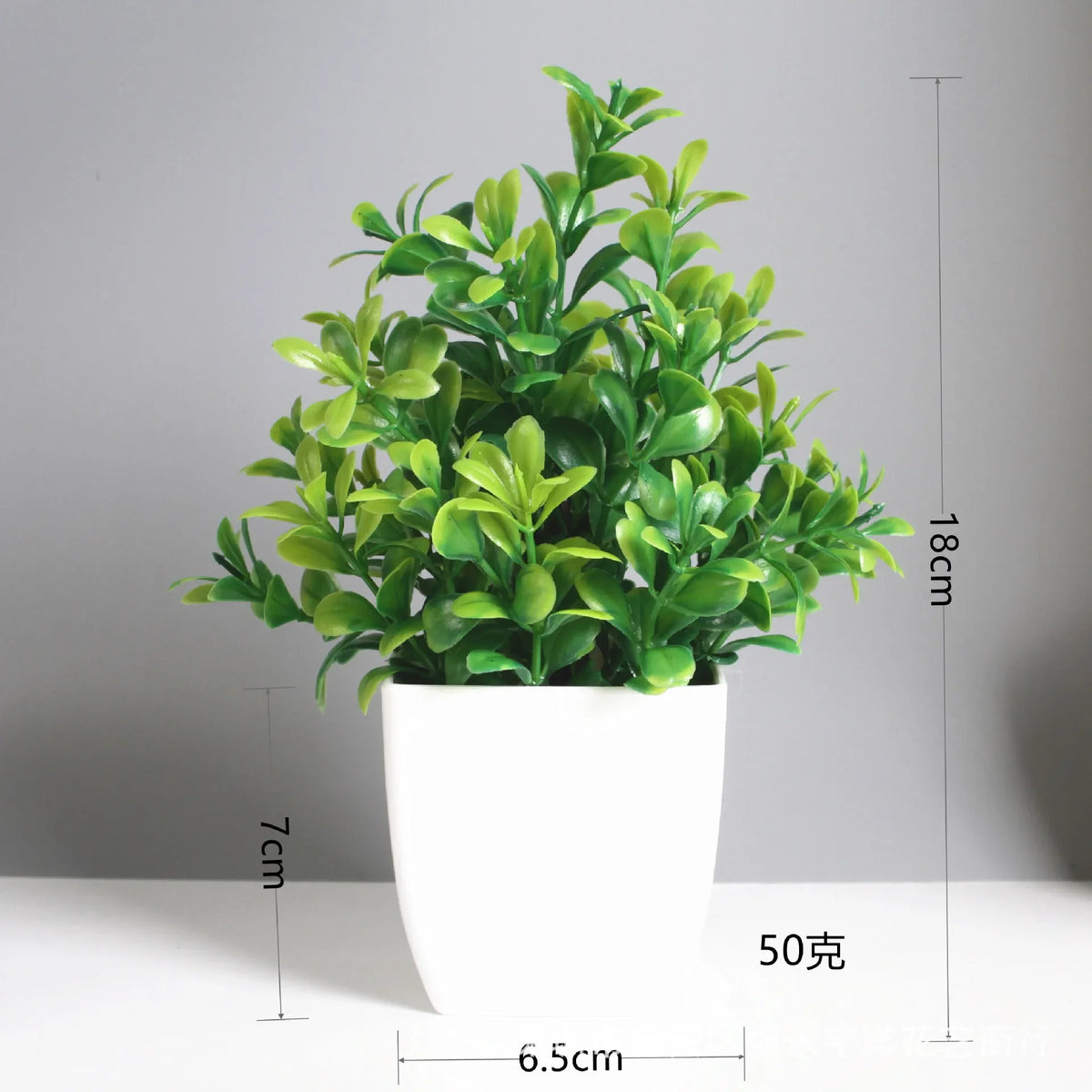 Mini Potted Plant