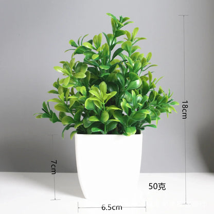 Mini Potted Plant