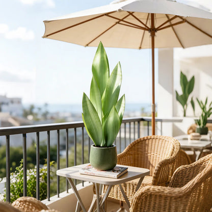 Faux Snake Plant