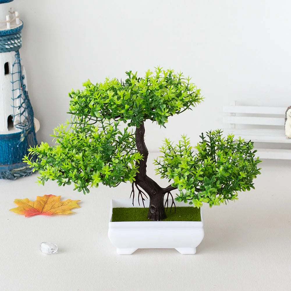 Mini Bonsai Tree Pot