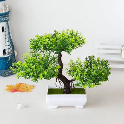 Mini Bonsai Tree Pot