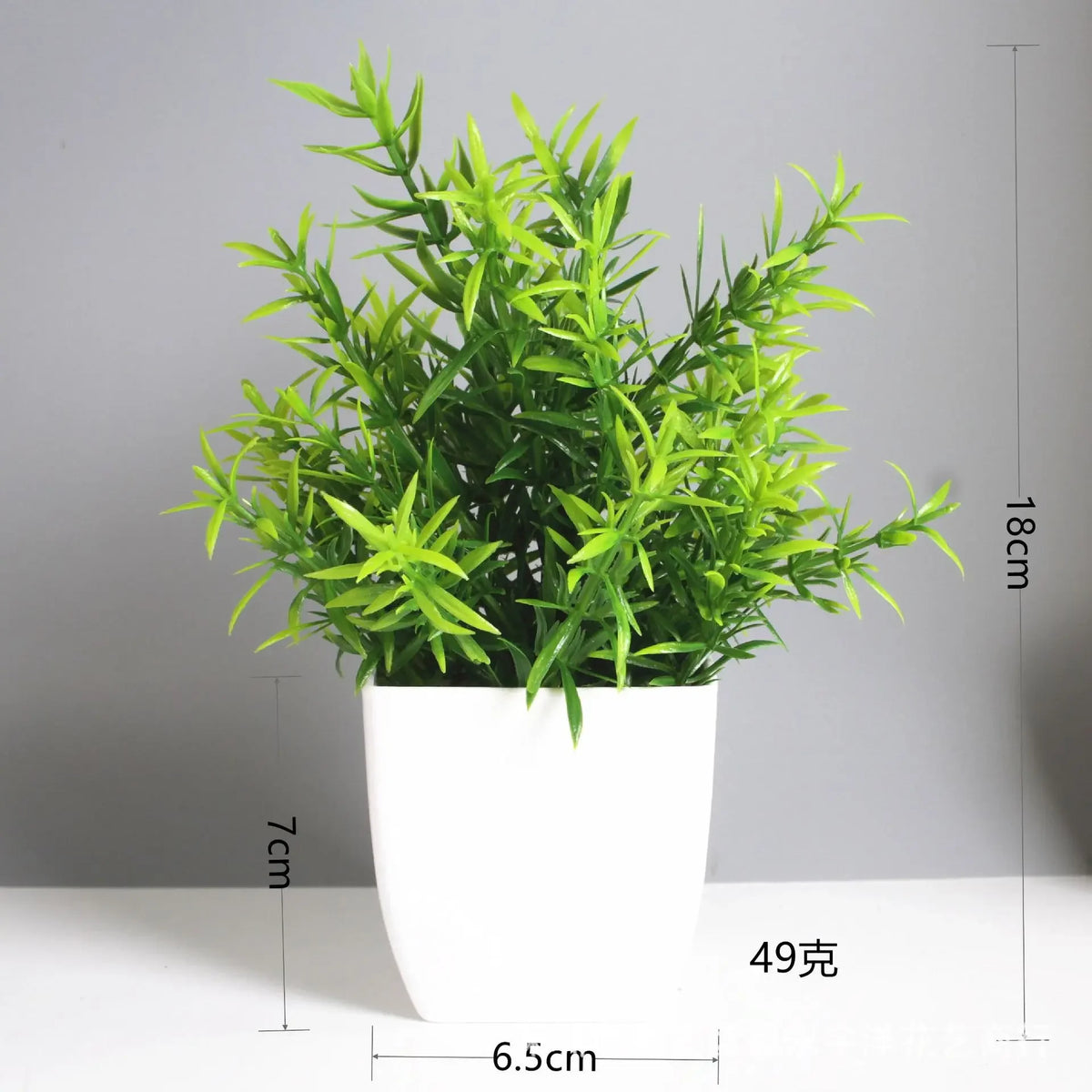 Mini Potted Plant