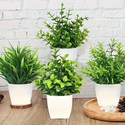 Mini Potted Plant