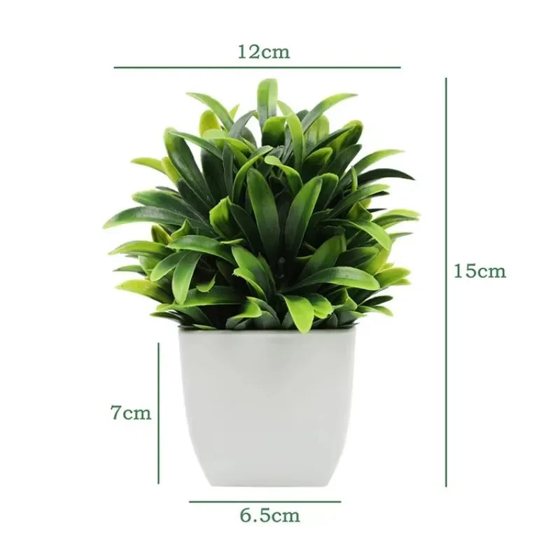 Mini Potted Plant