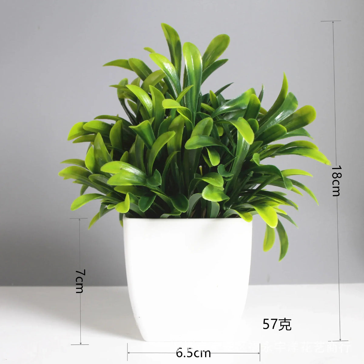 Mini Potted Plant