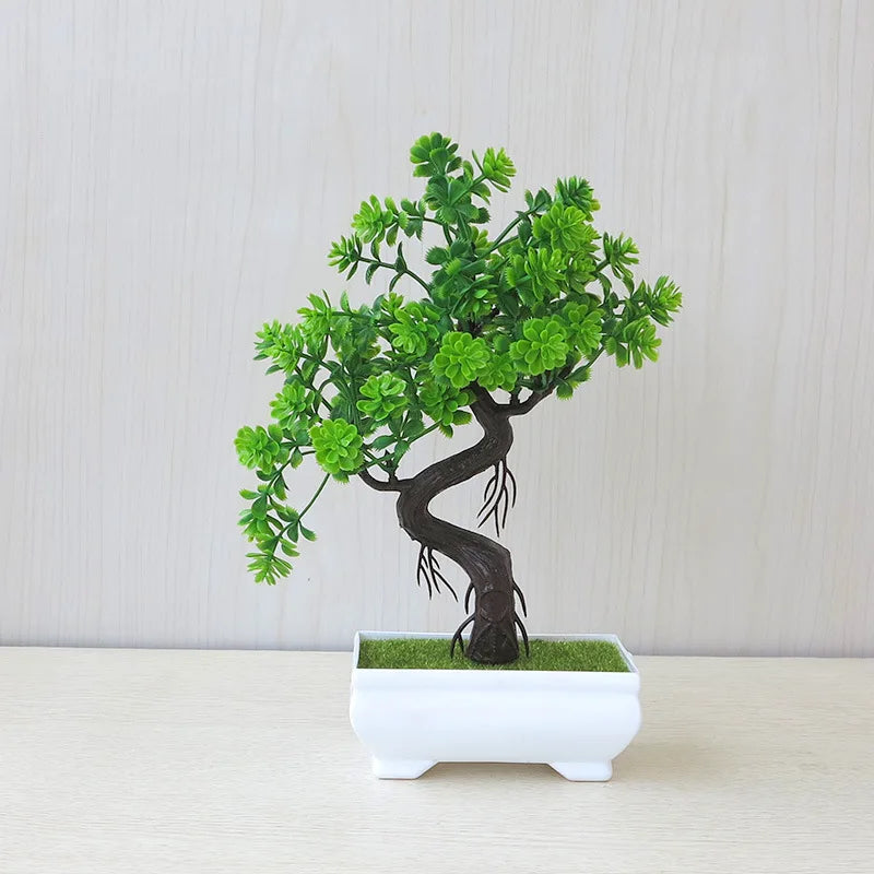 Mini Bonsai Tree Pot