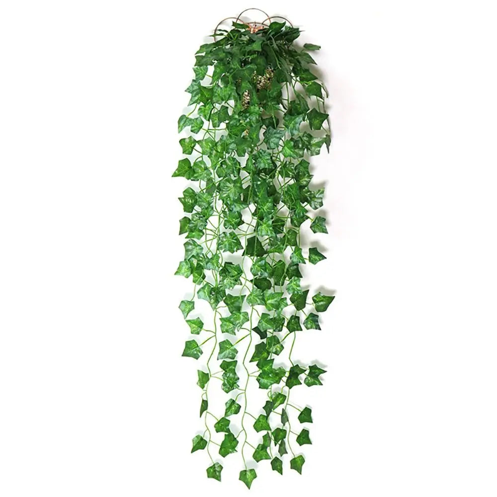 Hanging Ivy Vines