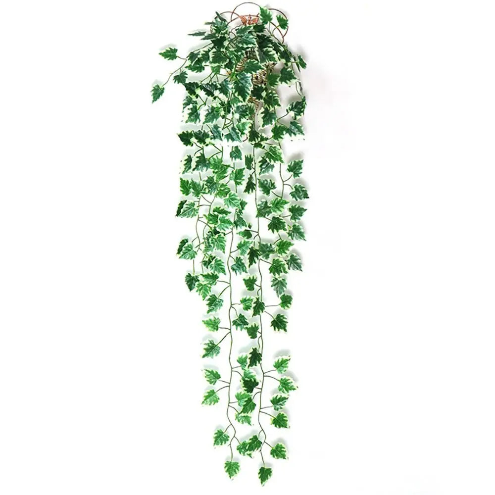 Hanging Ivy Vines