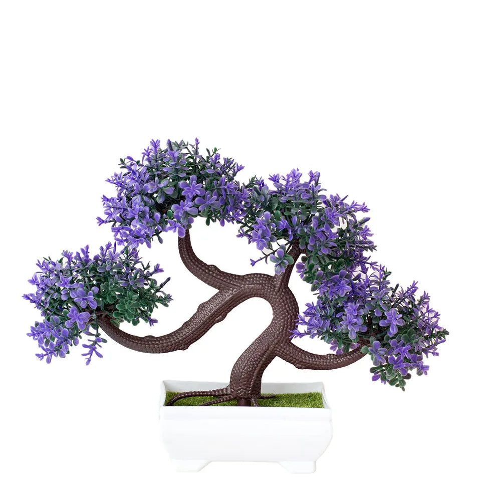 Mini Bonsai Tree Pot