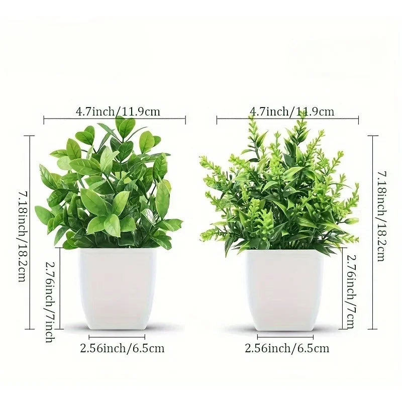 Mini Potted Plant