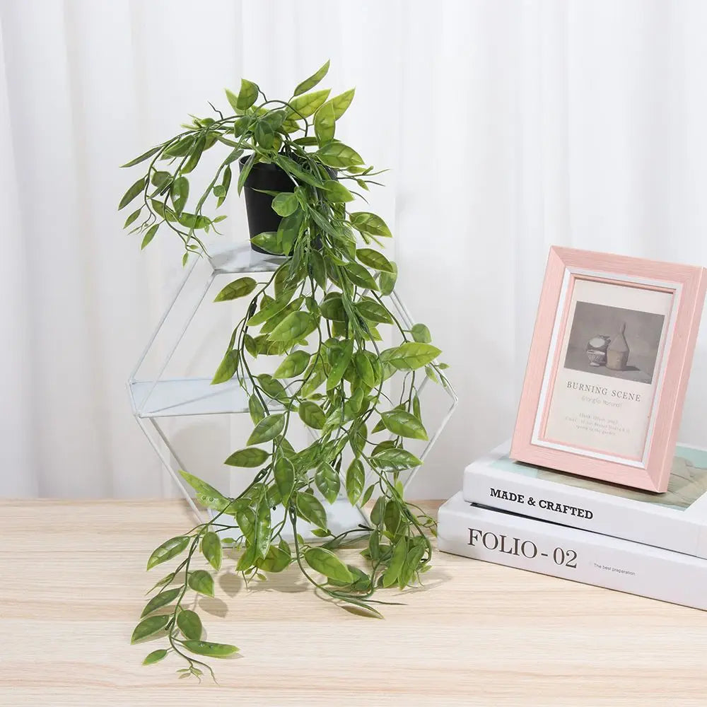 Hanging Ivy Vines