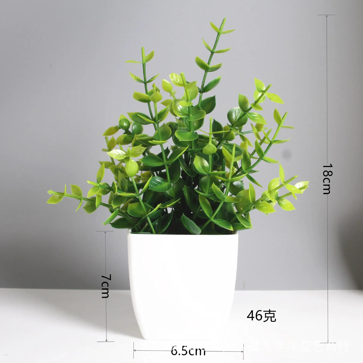 Mini Potted Plant