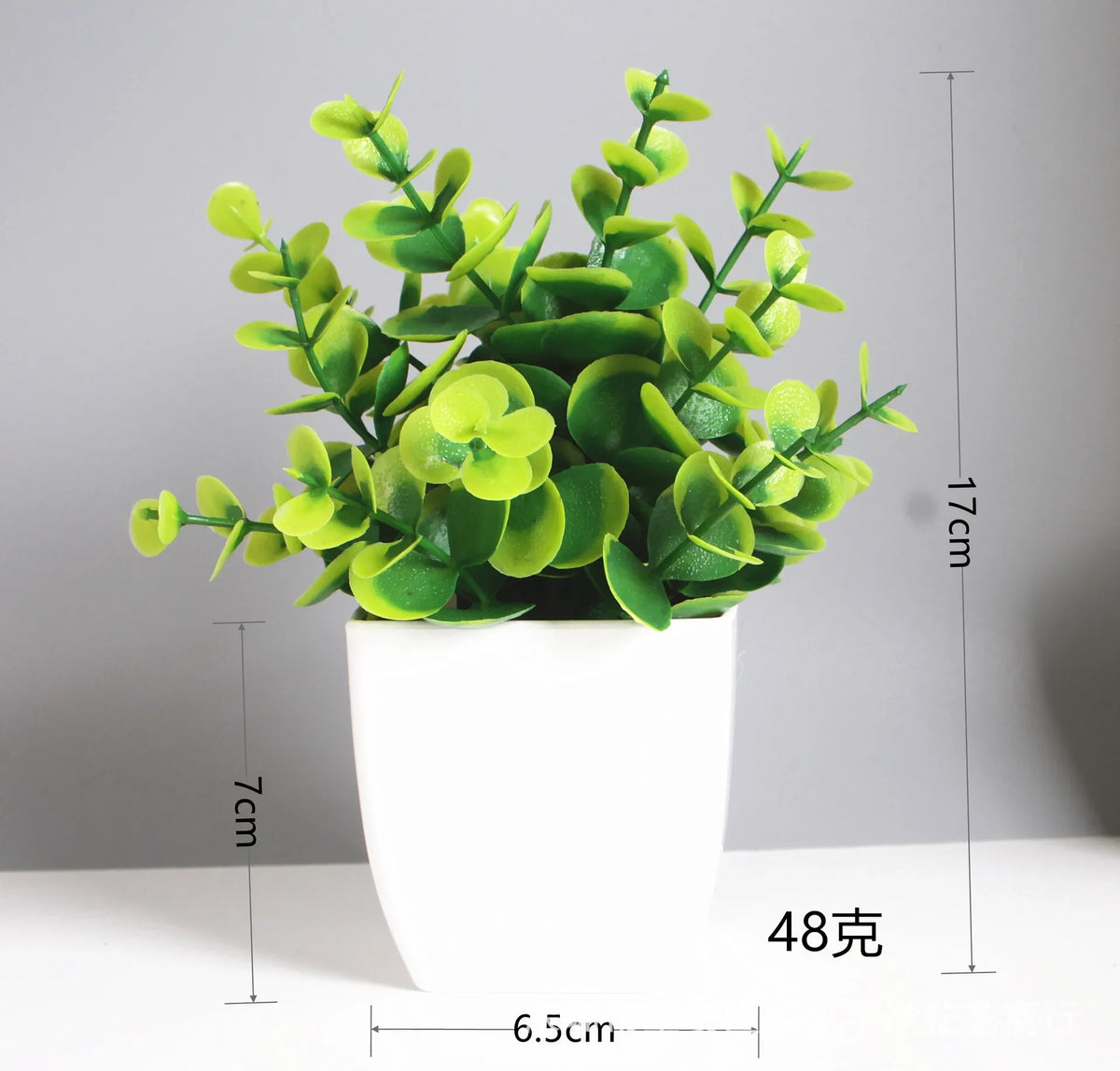 Mini Potted Plant