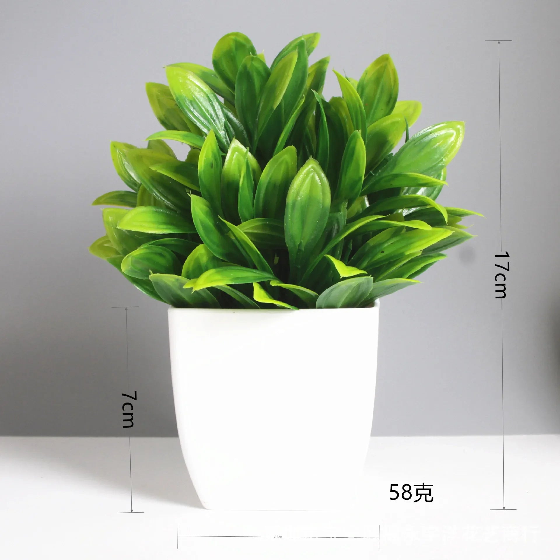 Mini Potted Plant