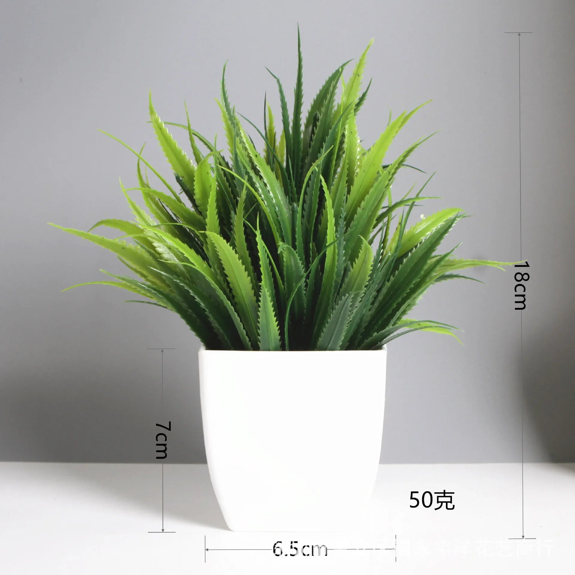 Mini Potted Plant