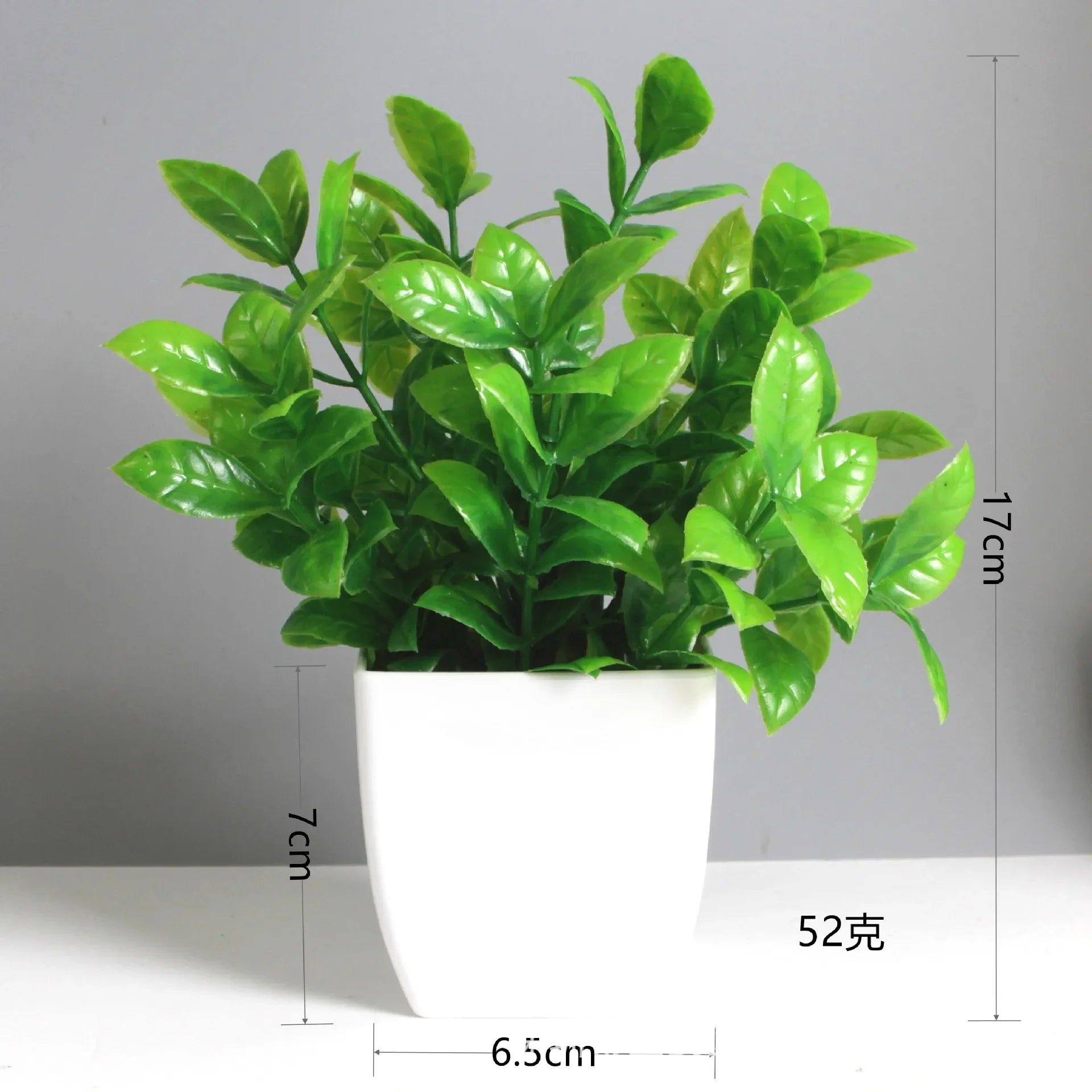Mini Potted Plant